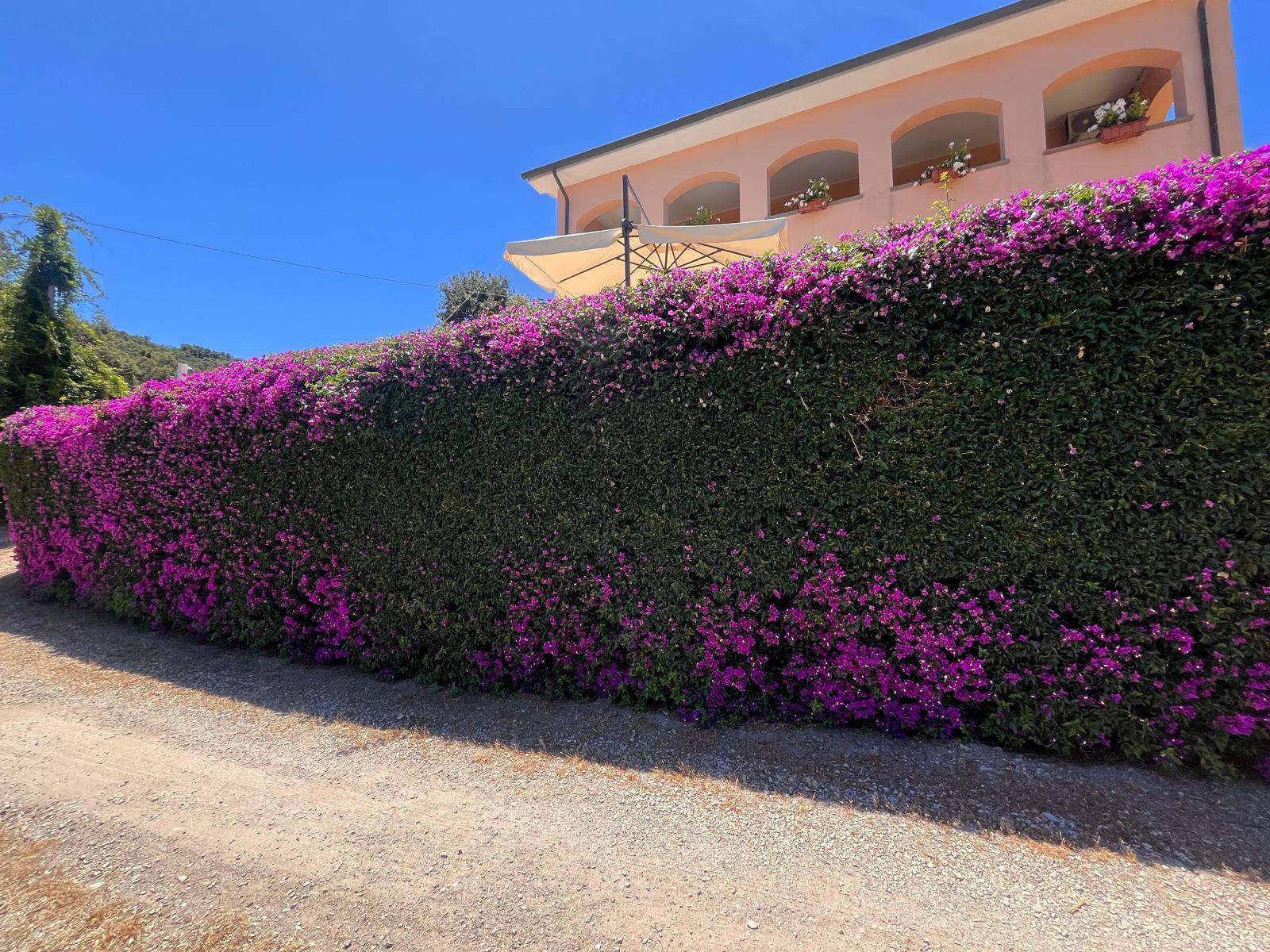 Villa Perelle